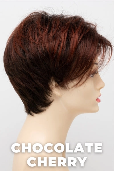 Envy Wigs - Shari (Large)