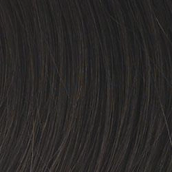 Kinetic Beauty Wig by Gabor | Synthetic