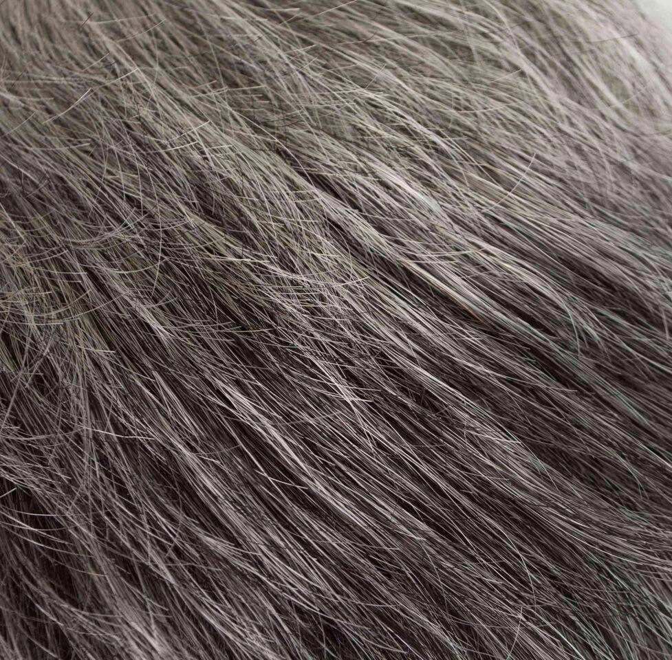 Tawny Wig by Tony of Beverly | Synthetic Wig (Traditional Cap) | Clearance Sale