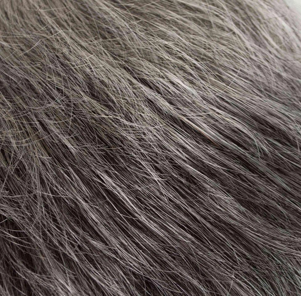 Tawny Wig by Tony of Beverly | Synthetic Wig (Traditional Cap)