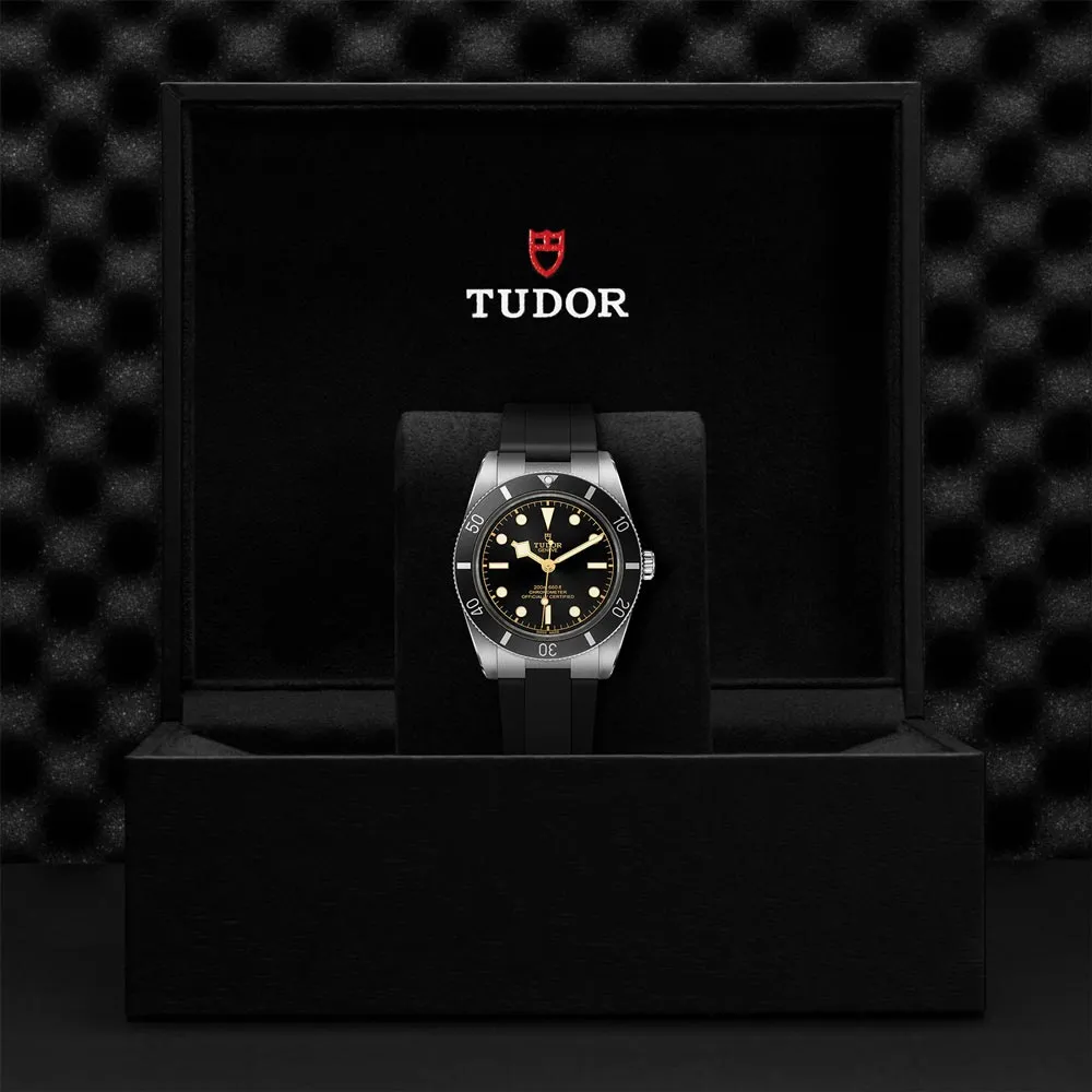 TUDOR Black Bay 54 Black Dial 37mm Watch M79000N-0002